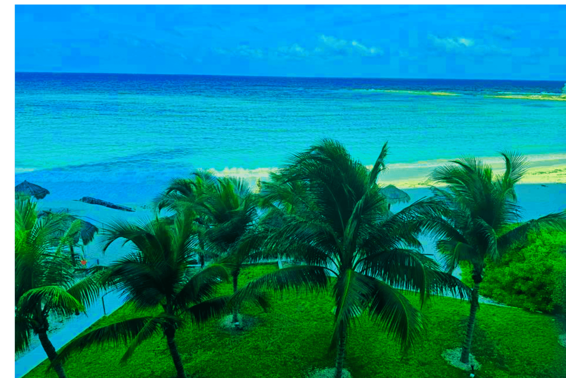 Tropical beach view with palm trees, green grass, and turquoise ocean under a blue sky.