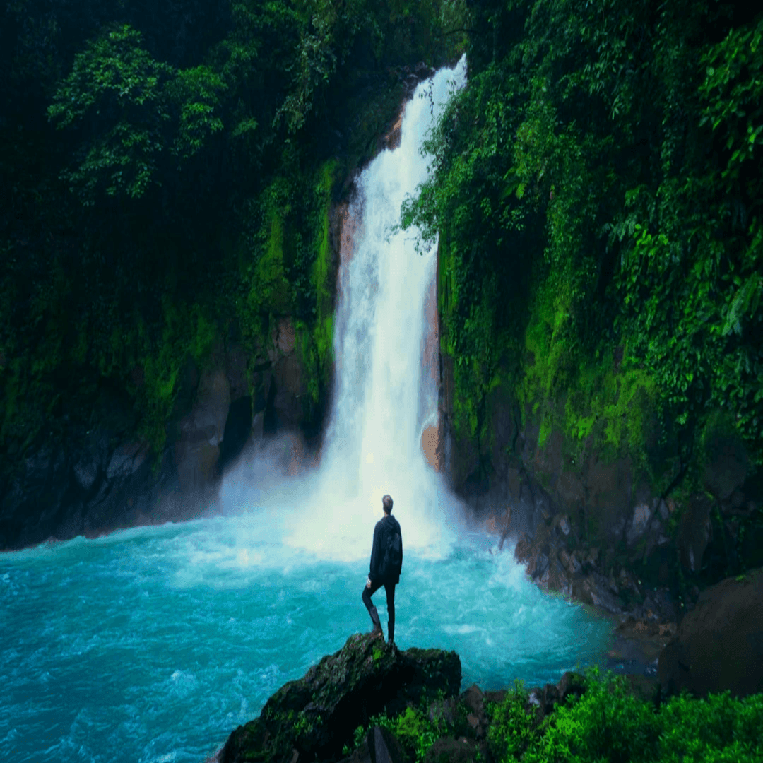 Person standing on rock, admiring a waterfall cascading into a turquoise pool surrounded by lush greenery.